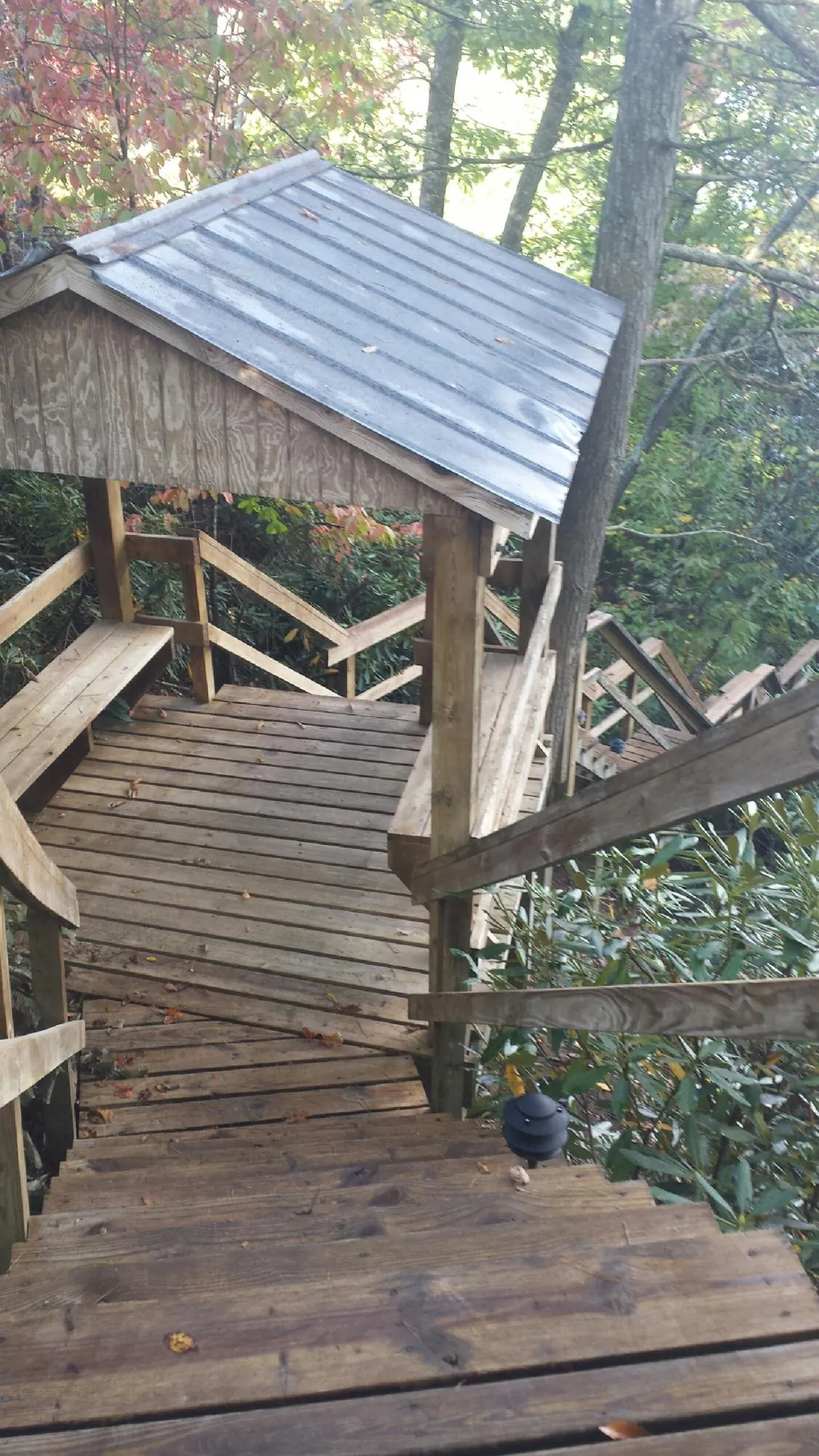 Metal roofed shelter over wooden steps on a wooded walkway — Skylight Repair & Installation work by our crew in Robards